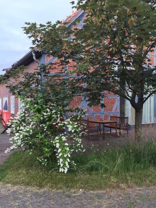 Entspannung In Der Schoenen Lueneburger Heide Gohrde Dış mekan fotoğraf