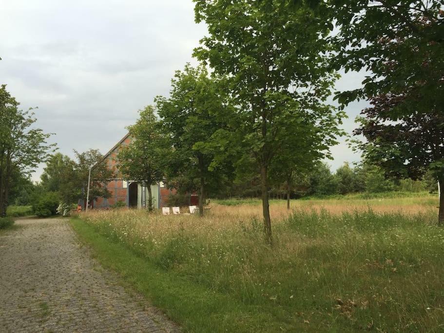 Entspannung In Der Schoenen Lueneburger Heide Gohrde Dış mekan fotoğraf