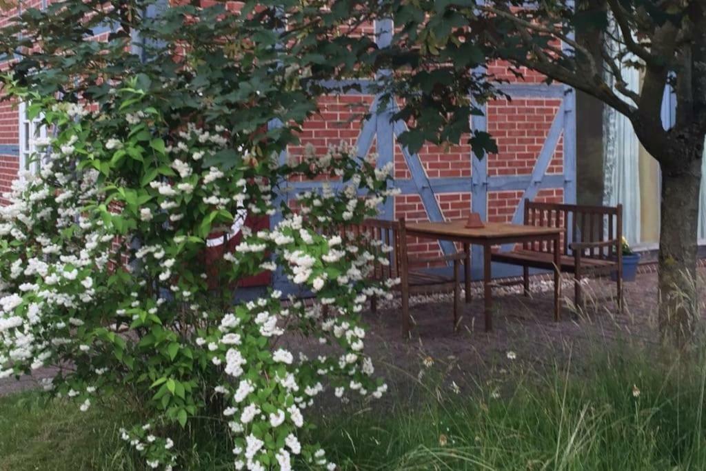 Entspannung In Der Schoenen Lueneburger Heide Gohrde Dış mekan fotoğraf